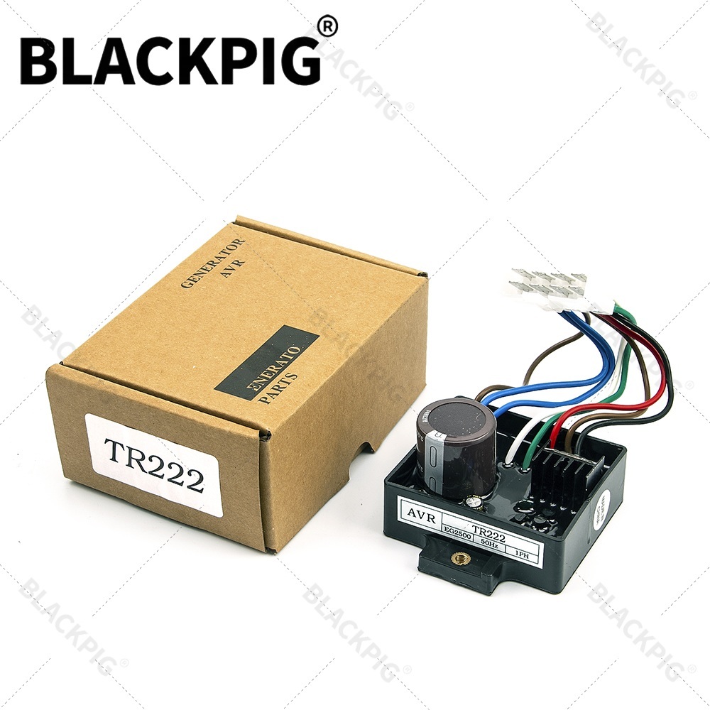 Cycloidal Reducer Bldc Motor - منظم جهد تلقائي TR222 EG2500 AVR،